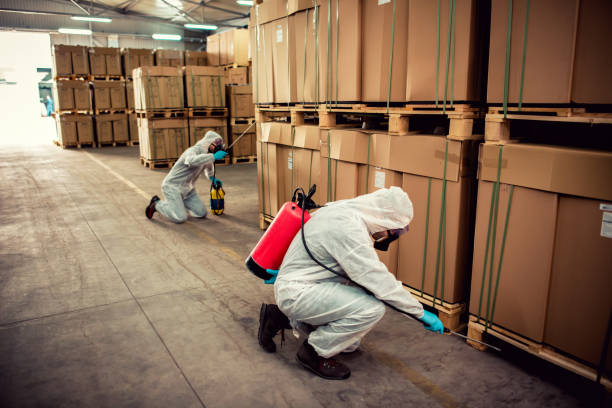 Reliable Cottonwood, MN Pest Control Solutions