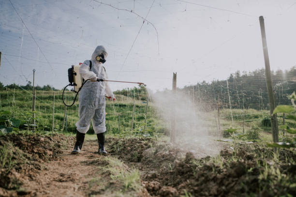 Best Local Pest Control Services  in Cottonwood, MN