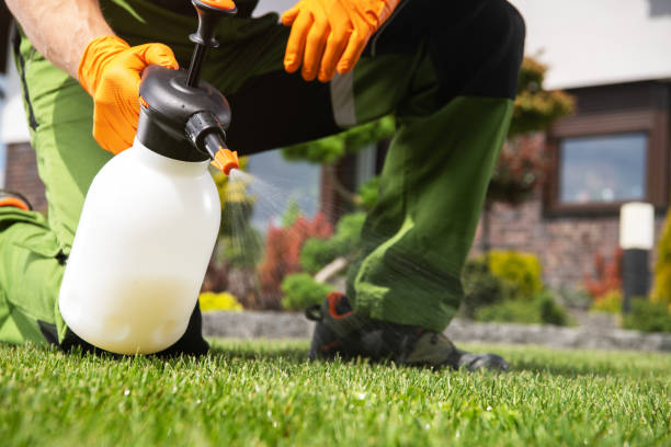 Best Flea Control Services  in Cottonwood, MN