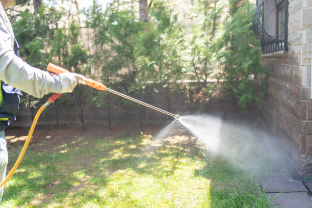 Wasp Removal Services in Cottonwood, MN