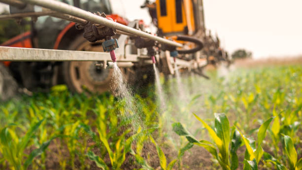 Best Wildlife Control Services  in Cottonwood, MN